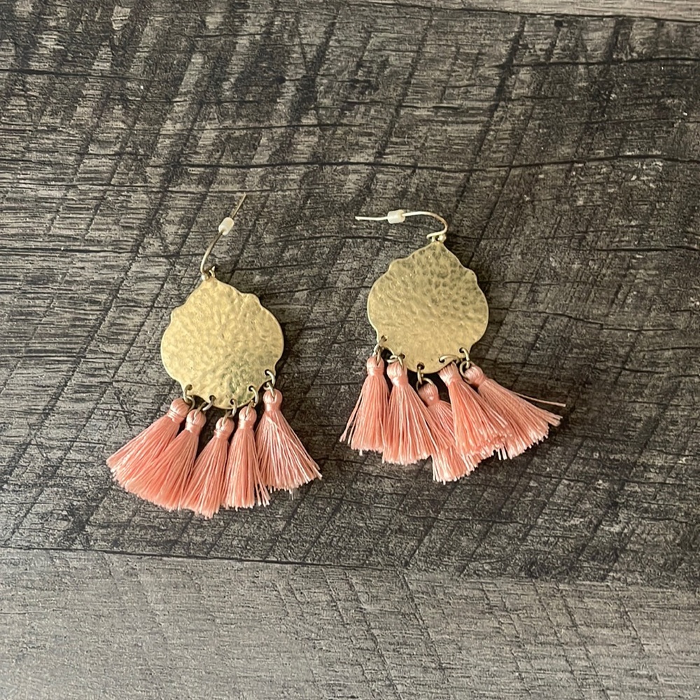 Francesca’s Tassle Earrings